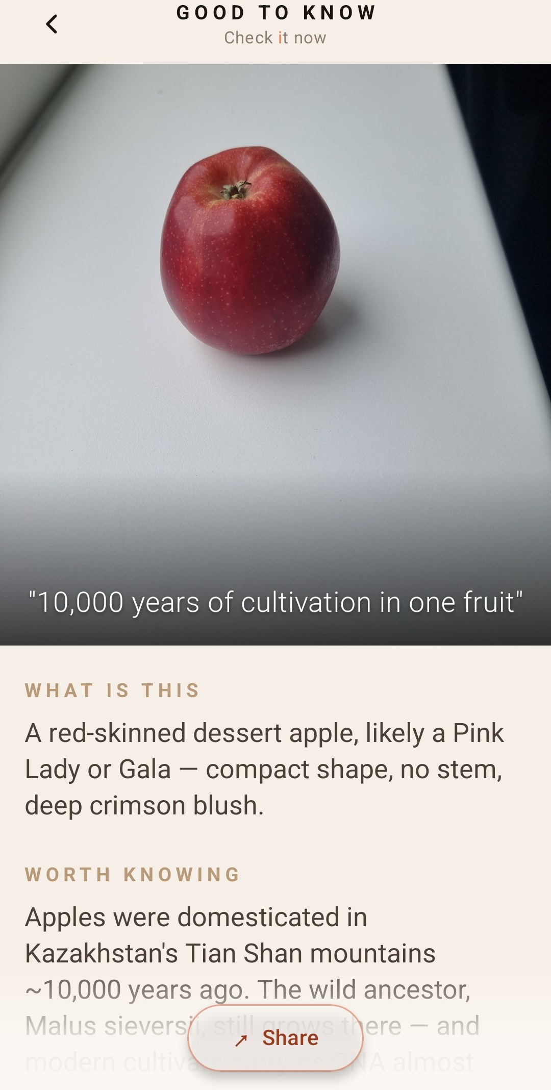 Check it now scan of an apple